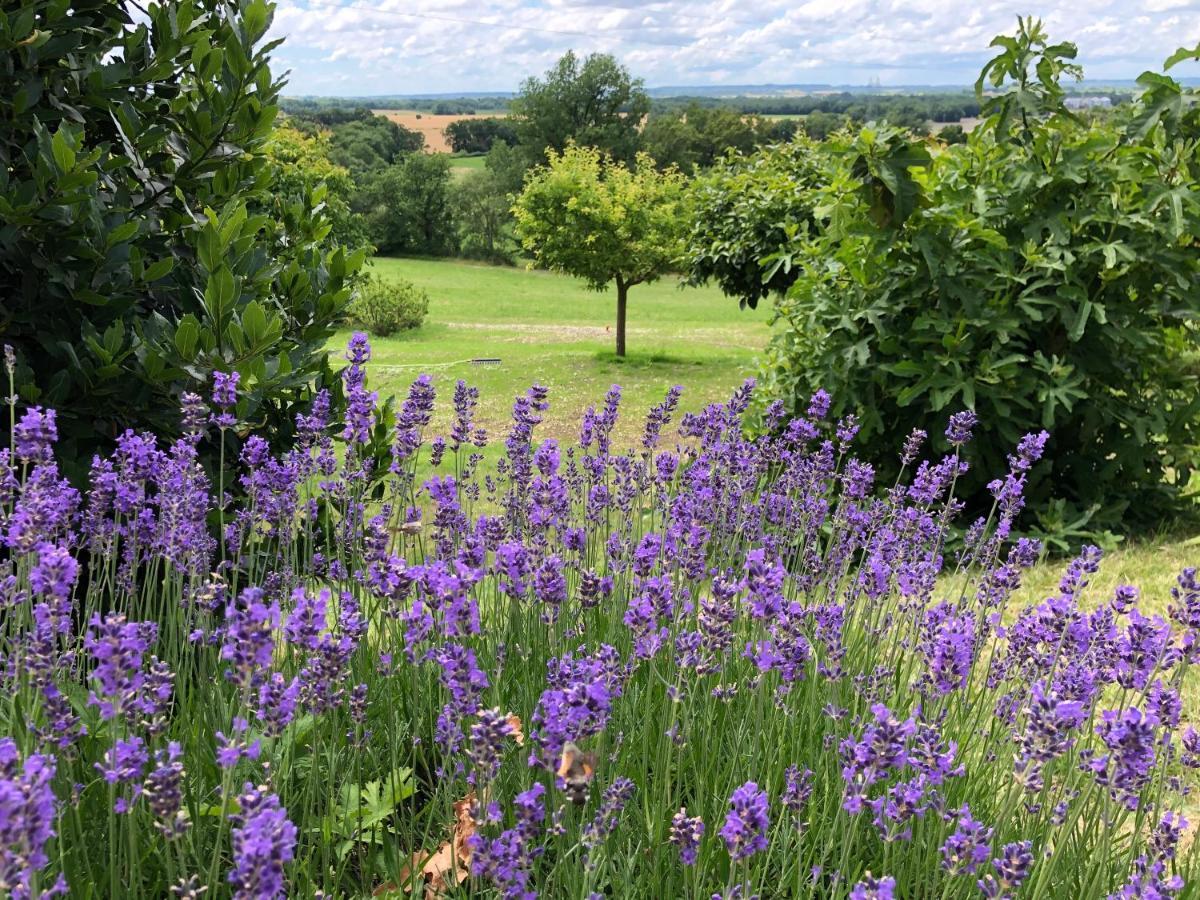 La Ferme Buissonniere Bed & Breakfast Bardou Exterior photo